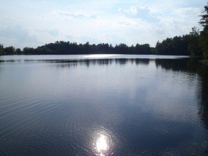 General view of Littlefield Pond