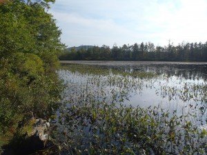 Perley Pond, Sebago, Maine