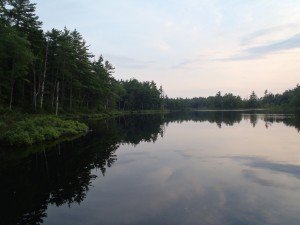 View of the shoreline of York Pond