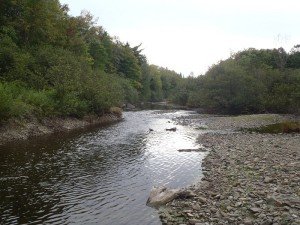 Trout Brook in late summer, Baxter State Park, Maine