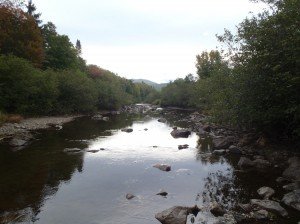 Trout Brook in late summer, Baxter State Park, Maine