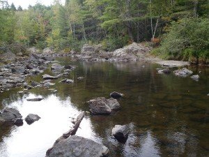 View of Trout Brook in late summer, Baxter State Park, Maine