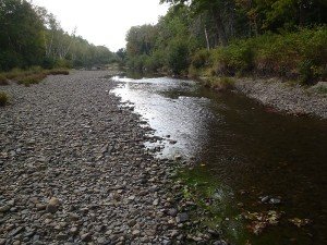 View of Trout Brook in late summer, Baxter State Park, Maine