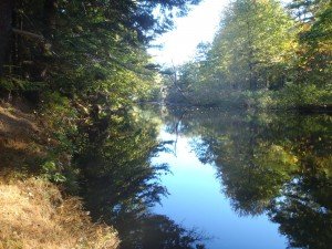 Ogunquit River, Ogunquit, Maine