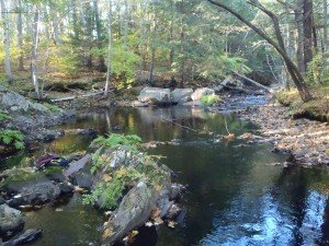 View of the middle section of the Ogunquit River below the falls
