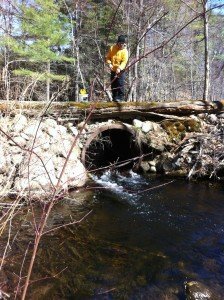 Joel tries to entice a trout in the pool below the culvert to take his baitfish