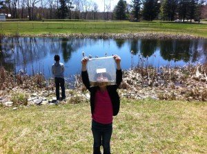 Ariana proudly showing off her newly-discovered frog egg friends