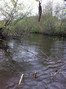 Collyer Brook
