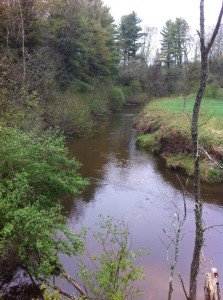 Collyer Brook above Merrill Road