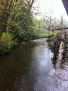 Collyer Brook above Merrill Road