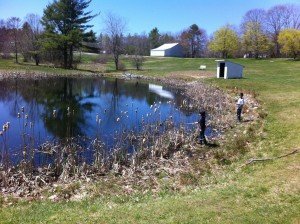 General view of Hollis School Memorial Pond in Hollis, Maine
