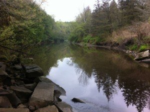 View if the Little River looking upstream from underneath the Route 237 bridge