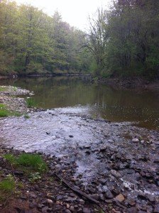 Confluence of an unnamed brook with the Little River