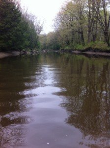 Notice the deeply-cut banks on either side of the river