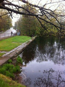 View of Christian fishing from the retaining wall on Wilcox Pond 