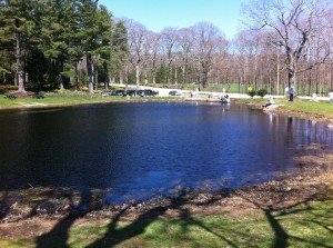 General view of Pineland Pond in New Gloucester, Maine