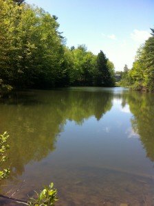 General view of Alden's Pond