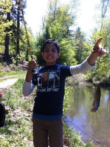 Species #2: bullhead