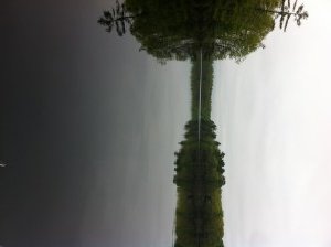 General view of Ell Pond