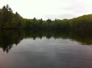 A quiet cove on Ell Pond