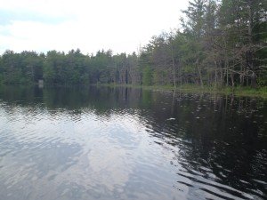 General view of Chaffin Pond
