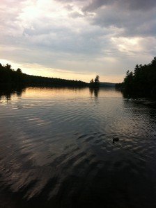 View of Sebago Cove on Sebago Lake from Route 114