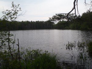 General view of Chaffin Pond