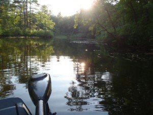 General view of the Tenny River: broad and very shallow.