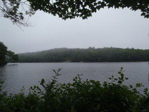 View of Sewell Pond from the access point