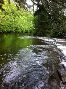 General view of the Pleasant River