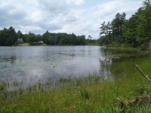 General view of Island Pond