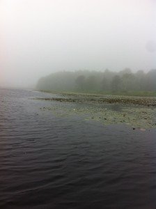 View of the channel running through the floating vegetation in Wat-Tuh Lake