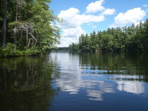 Typical view of the Worthley Pond shoreline