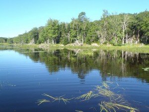 General view of Ice Pond