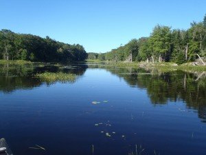 General view of Ice Pond