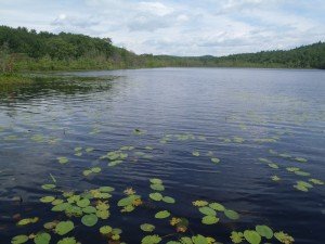 General view of Little Sabattus Pond