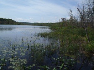 Looking down the shoreline on Little Sabattus Pond