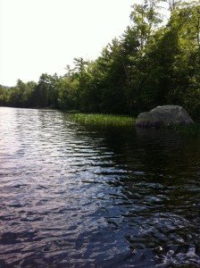 View of the shoreline of Perley Pond