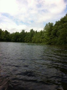 Perley Pond is a keeper!