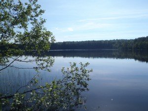 General view of Crystal Pond