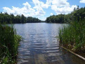 View of Worthley Pond from the boat launch