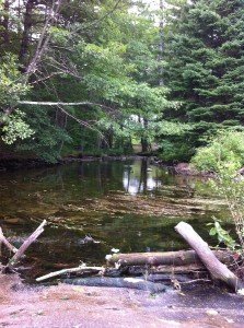 Ditch Brook (summer low flow) at the point where it enters Collins Pond