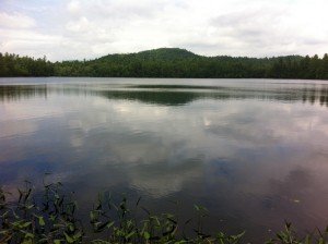 General view of Little Moose Pond