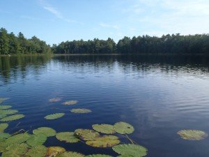 View of the Shoreline of Schoolhouse Pond