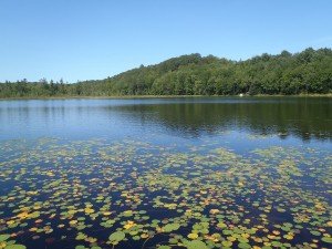 General view of Mud Pond