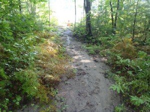 The rough footpath leading to the access point on Spectacle Pond #1