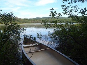 Access point to Proctor Pond