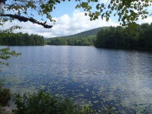 General view of Little Clemons Pond
