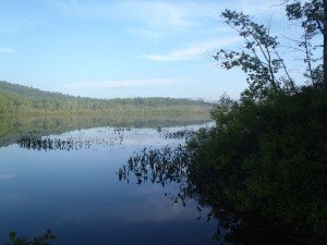 General view of Spectacle Pond #2