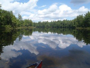 General view of Pickerel Pond
